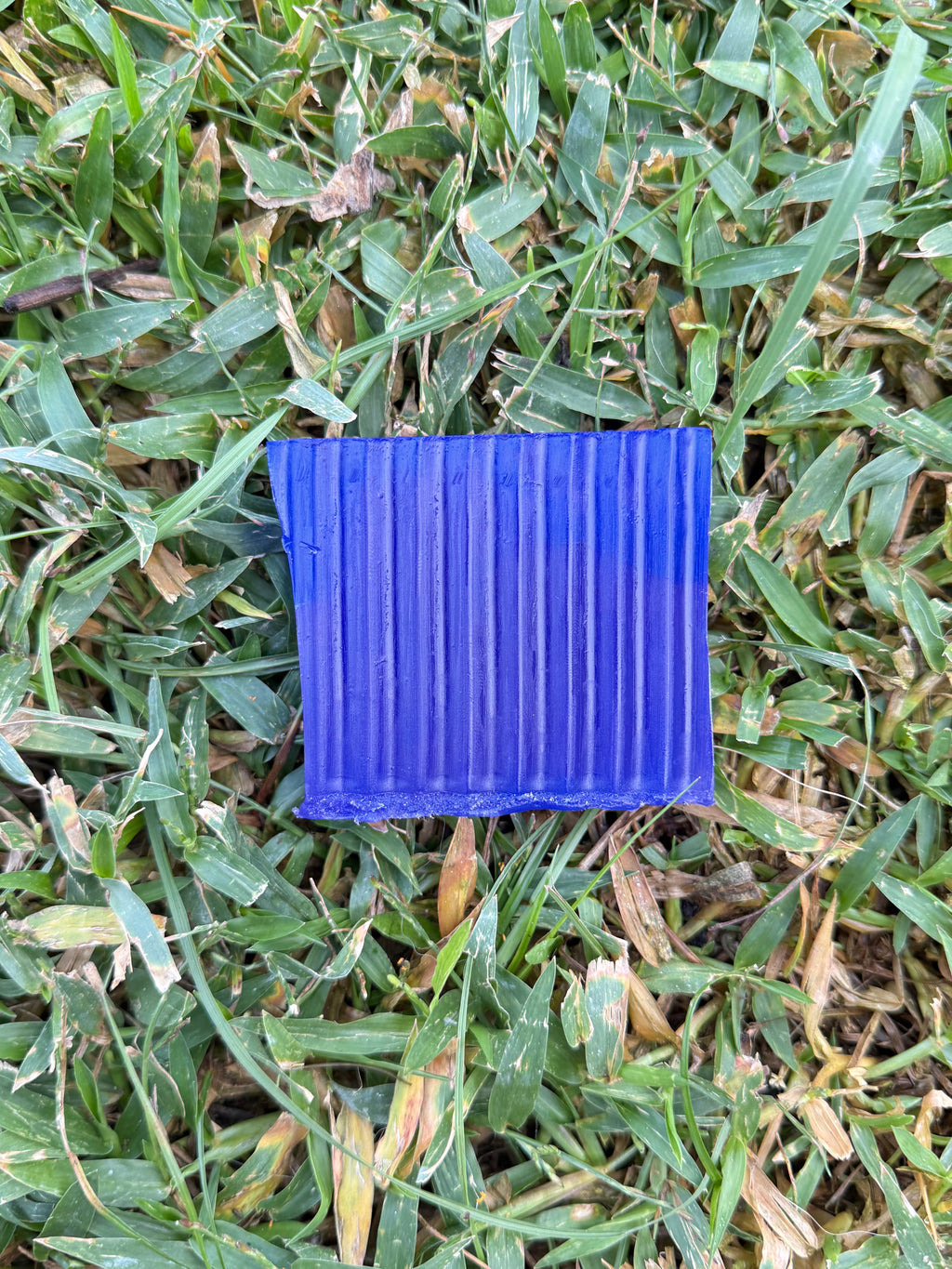 Meadow Saffron Bar Soap